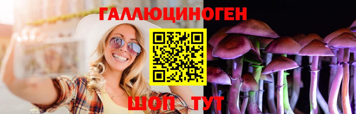 Галлюциногенные грибы прущие грибы  Вход с VPN  Верхняя Пышма 